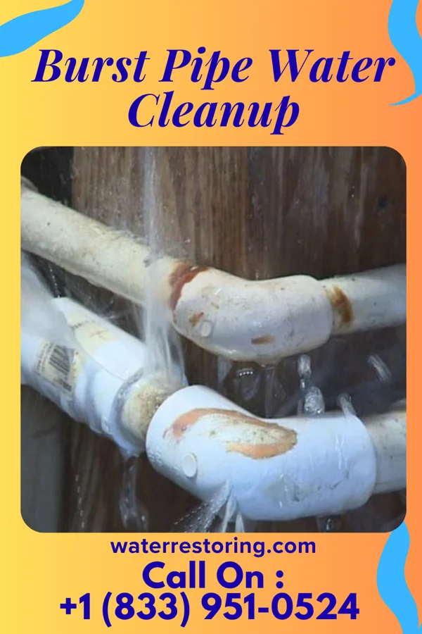 Burst Pipe Water Cleanup in Corwith, IA