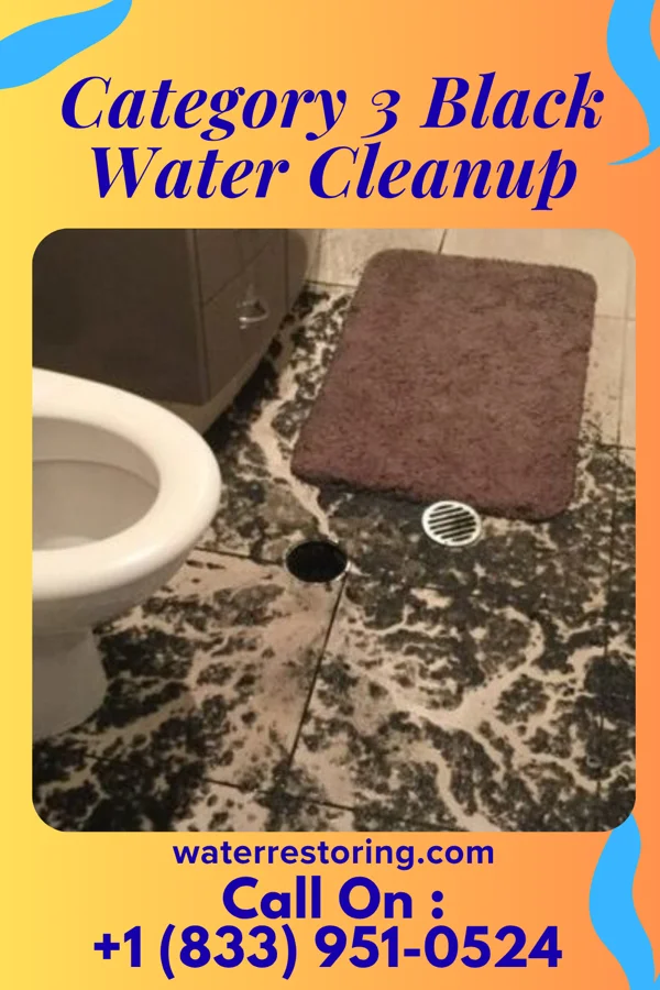 Category 3 Black Water Cleanup in Corwith, IA