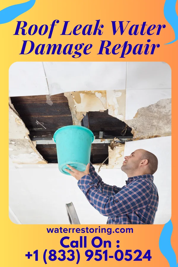 Roof Leak Water Damage Repair in Corwith, IA